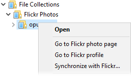flickr commands.png